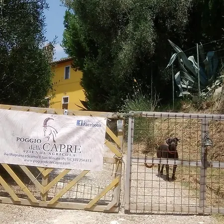 Poggio Delle Capre