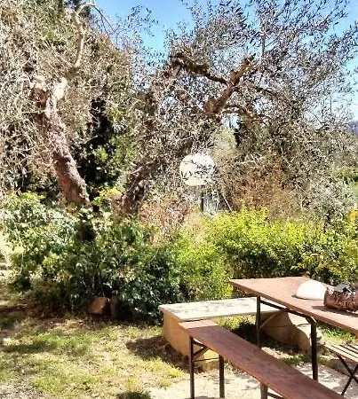 Poggio Delle Capre *