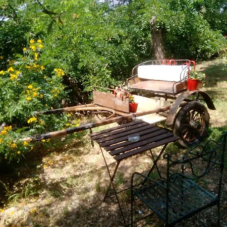 بيت ضيافة Poggio Delle Capre *
