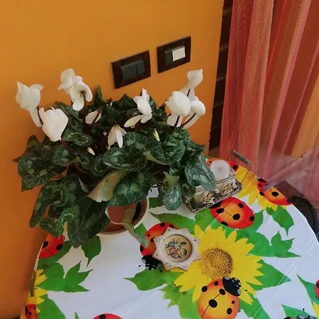 Poggio Delle Capre بيت ضيافة سان مينياتو